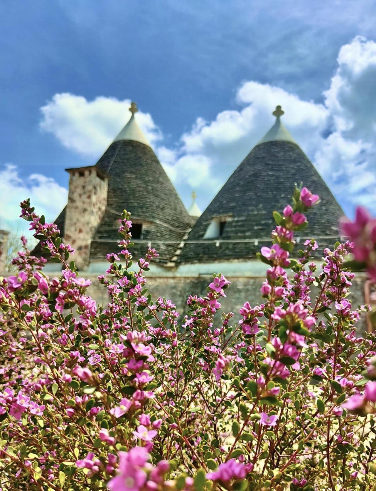 Trulli Allegretti 诺西 外观 照片